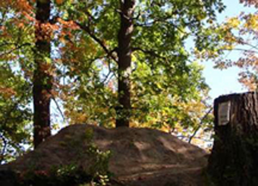 High Park Mound