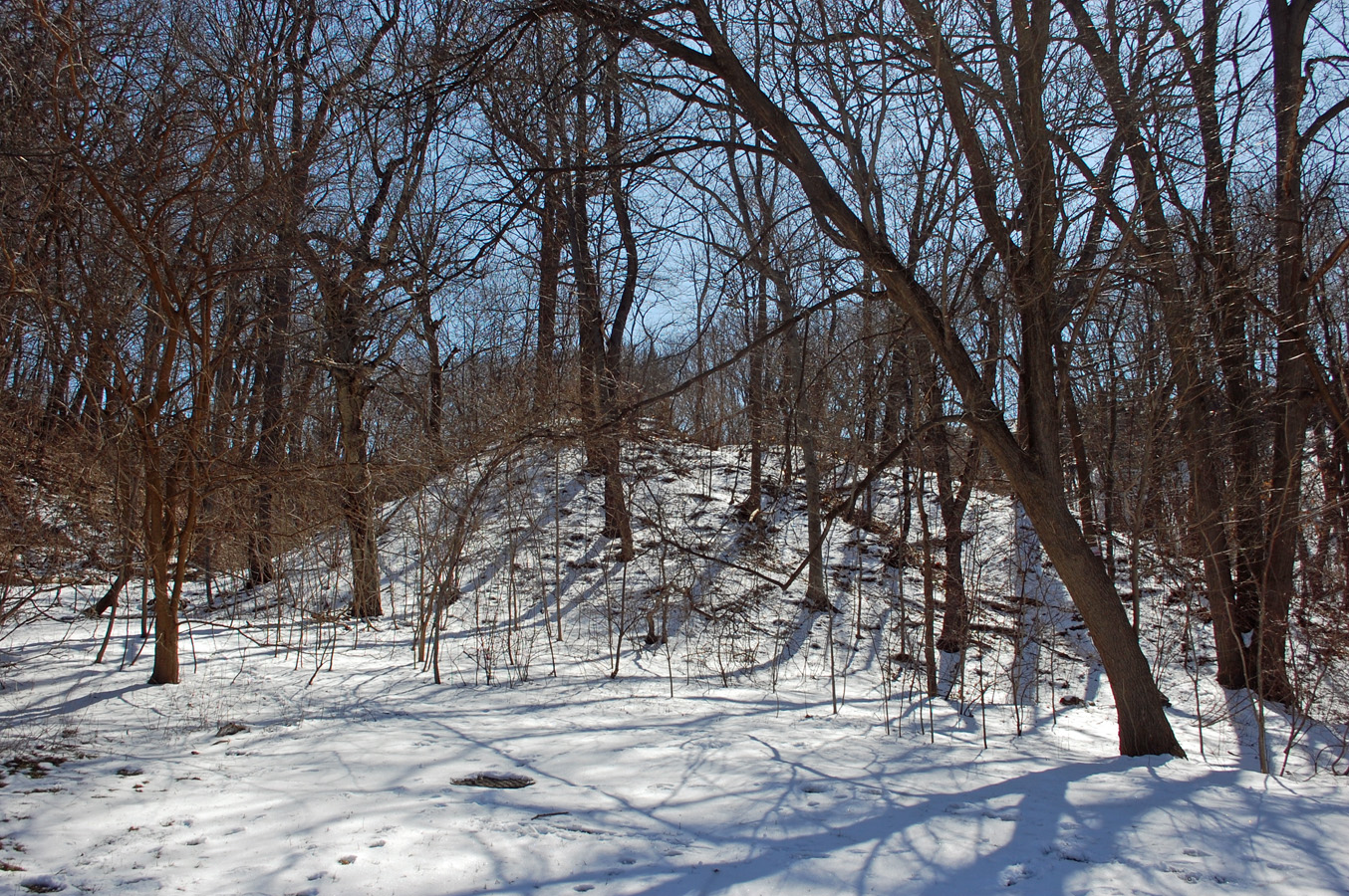 Thunderbird Mound in BPt